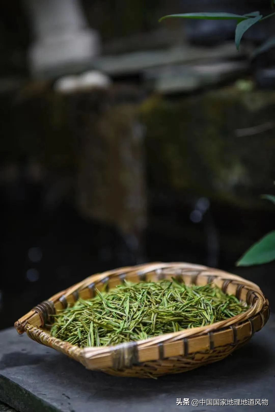 为什么温州人都比较有钱,温州以前到底有多穷