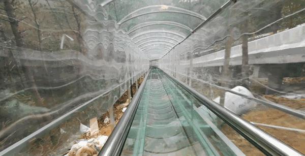 衡阳离浏阳石牛寨有多远,浏阳石牛寨适合老人玩吗