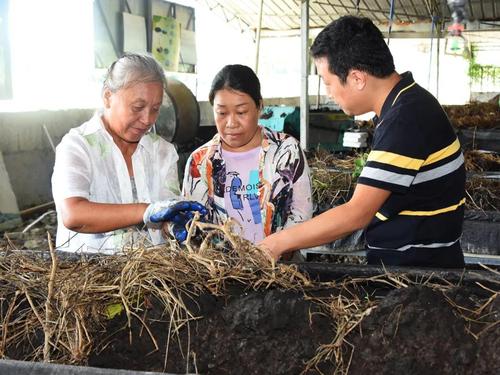 禽畜粪便环保处理,畜禽粪便处理循环利用利弊