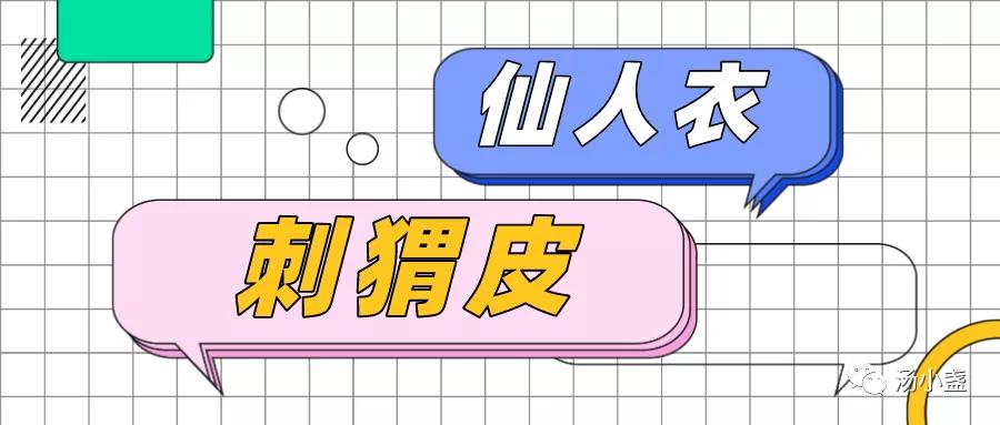 刺猬皮外敷促进皮肤生长,刺猬皮止血