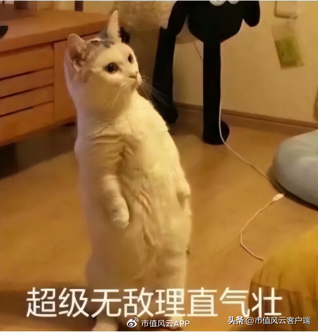 三年4轮问询函,供应商身份扑朔迷离:卓创资讯,上市九曲十八弯