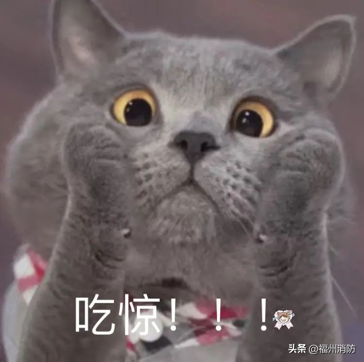 突发福州一男一女落水,6岁女童发生意外事件