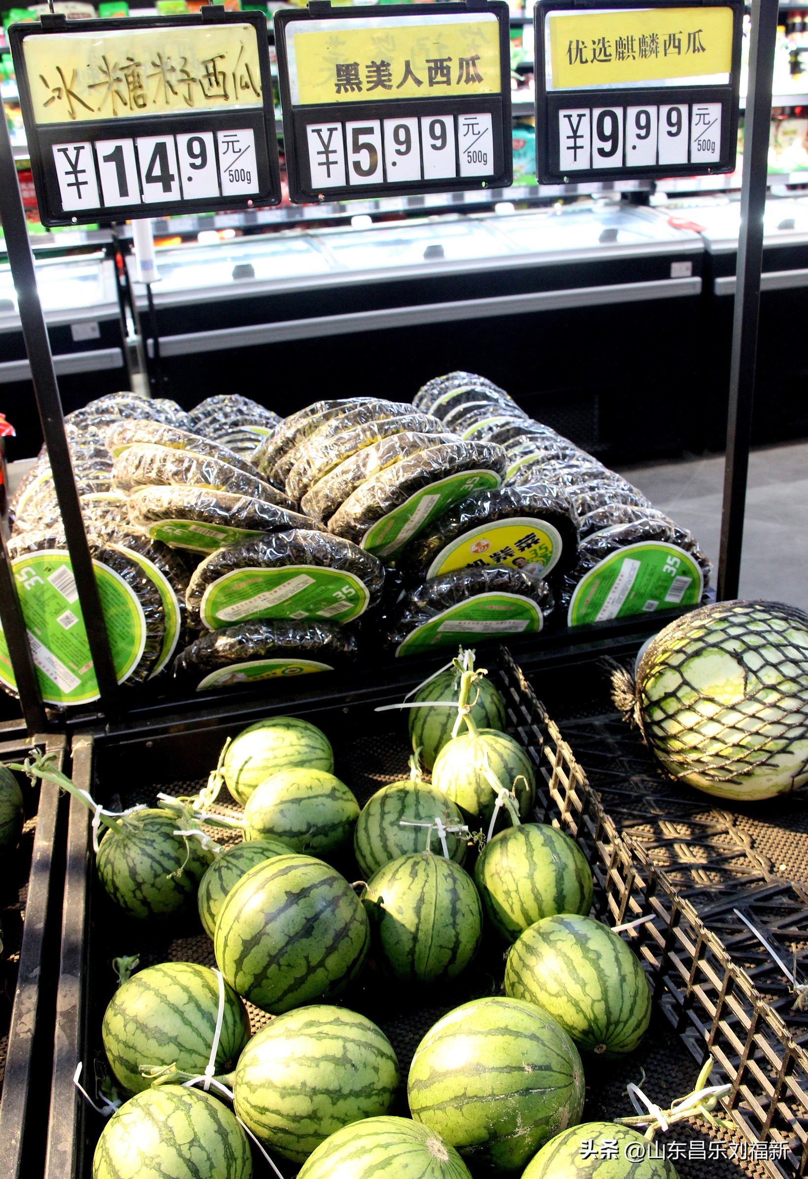 2023年3月中旬散拍·一点儿感受