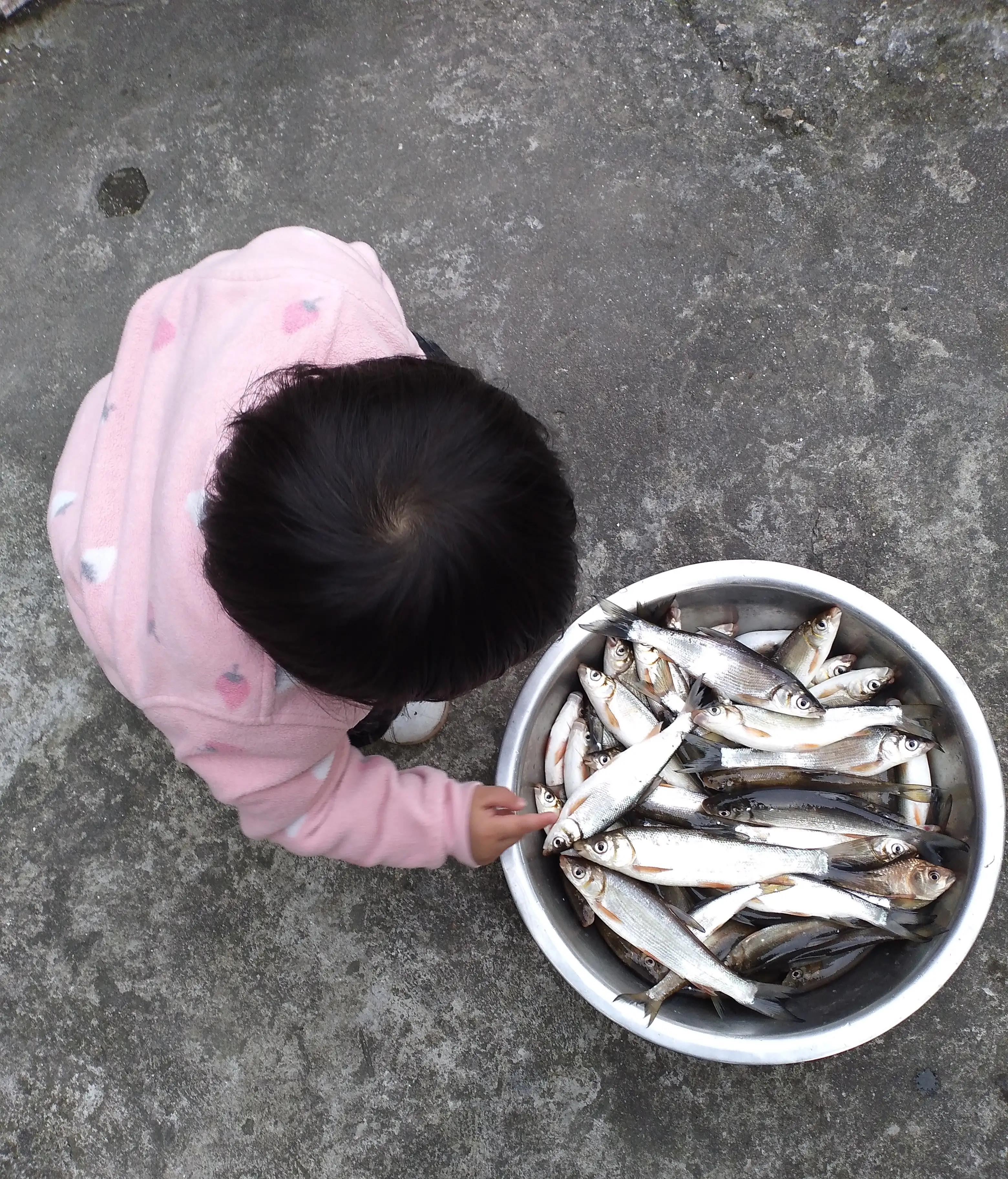 钓鱼经验视频大全,钓鱼第50天攻略