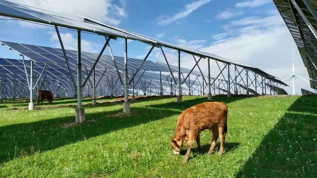 光伏目前模式,光伏四大模式