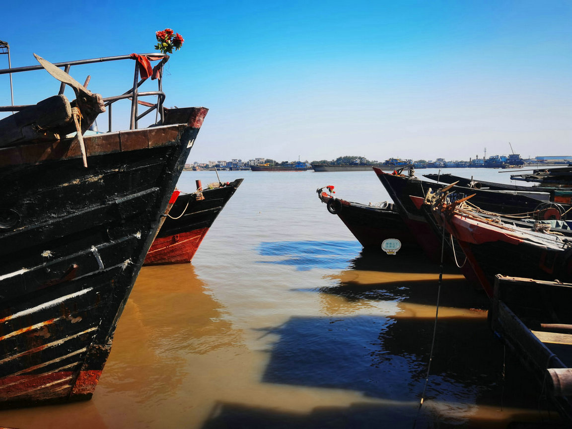 10元一碟海鲜粥广州,广州10元一碟海鲜粥