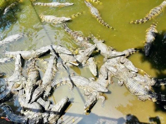 深圳创业挣300万,深圳打工年赚500万