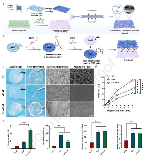 脑科学与阿尔茨海默症,脑科学治疗阿尔兹海默症