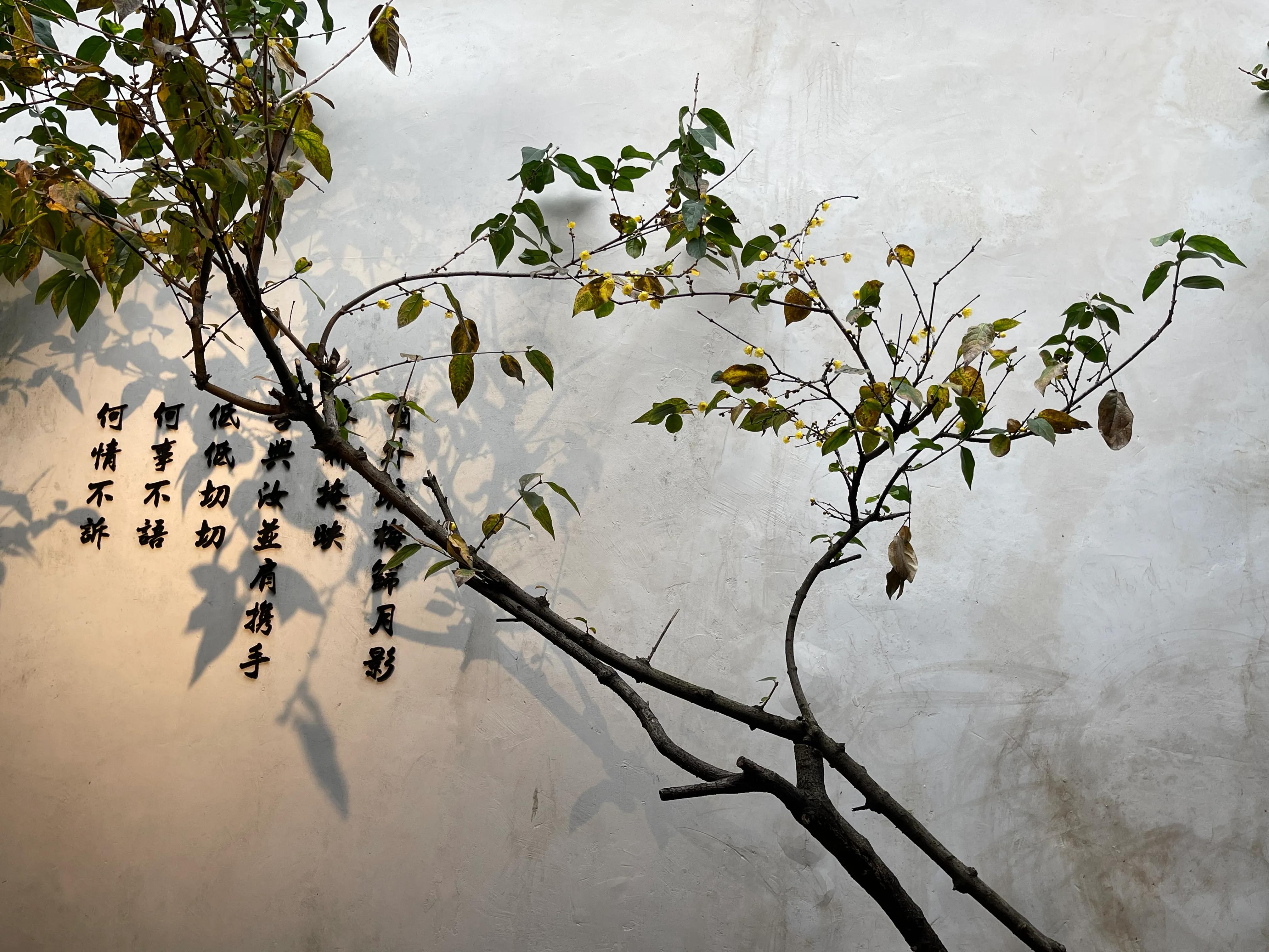 三坊七巷林觉民和冰心故居讲解,福州三坊七巷冰心故居