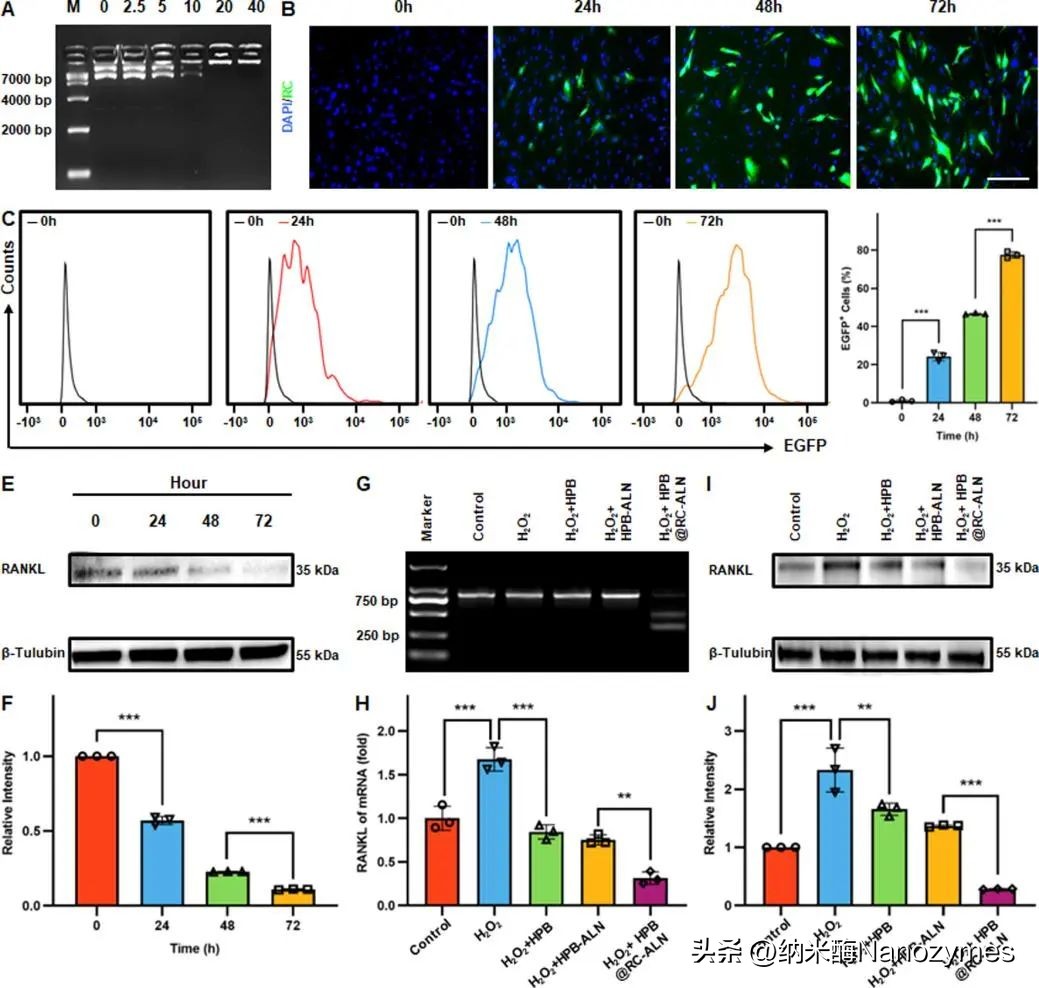 nanotoday期刊,nanotoday官网