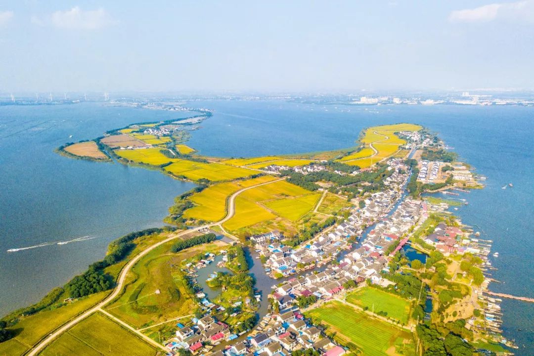 最美婺源油菜花跟风来一下,苏州自驾到婺源看油菜花的地方