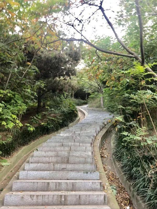 中国10座连一个山都没有的地级市，最高海拔不到80米，有你家乡吗