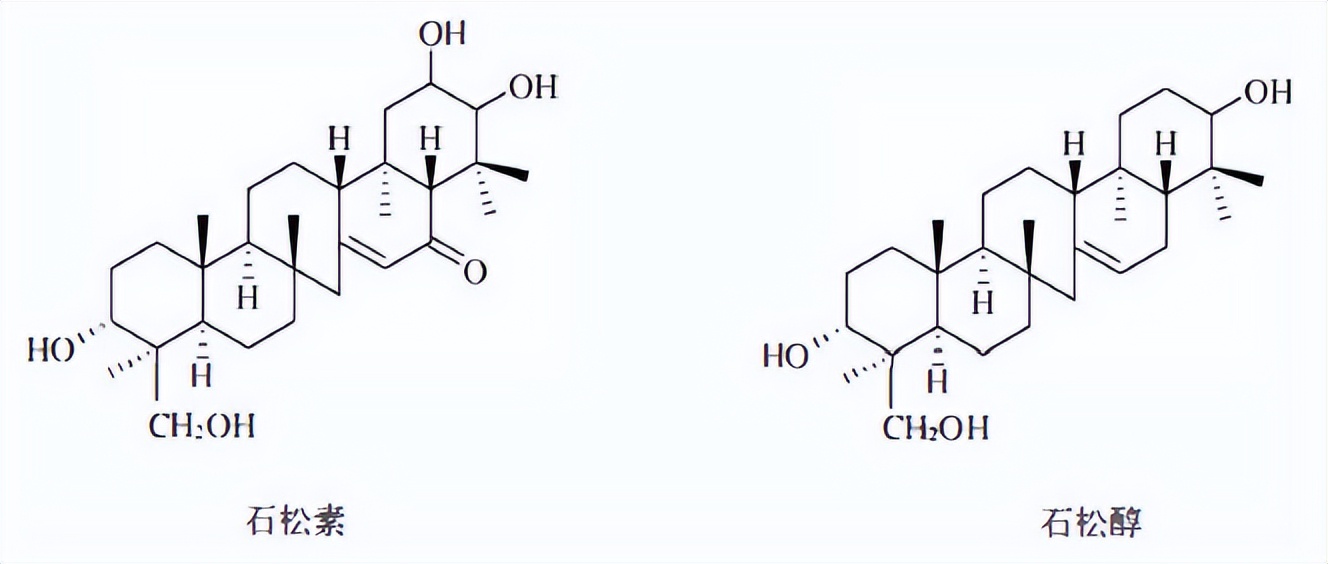 哪些植物含有三萜成分最多,萜烯类物质对植物的功效