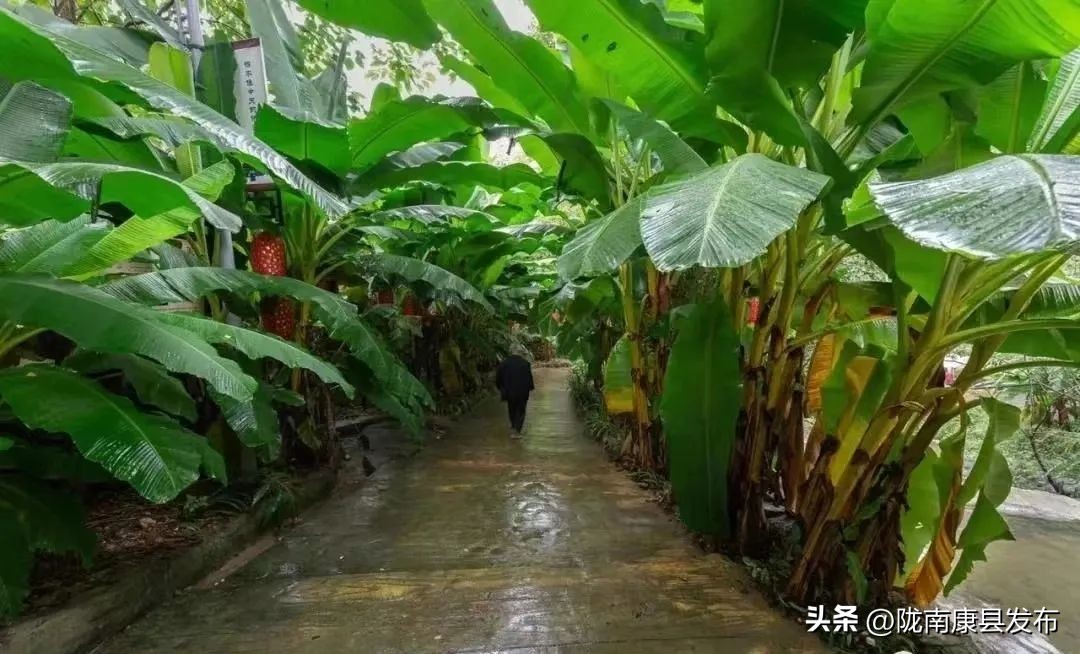 浜斾竴搴峰吇鏃呮父,浜斾竴搴峰吇搴﹀亣鏀荤暐