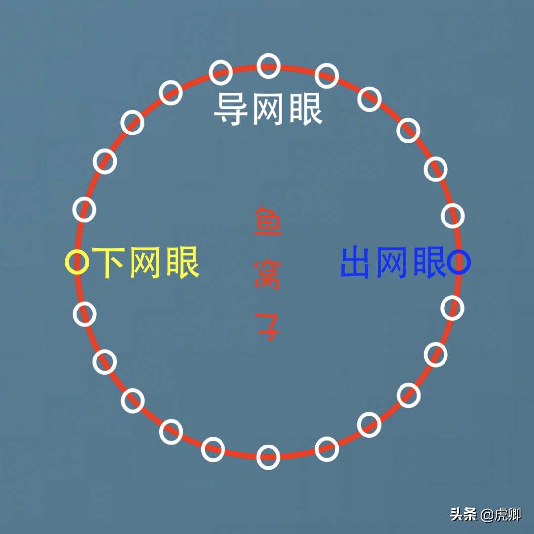 天价鱼是怎么曝光的,天价鱼野生