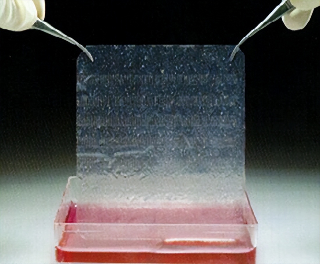 科学家发明人体皮肤,中国科学家发明人造皮肤