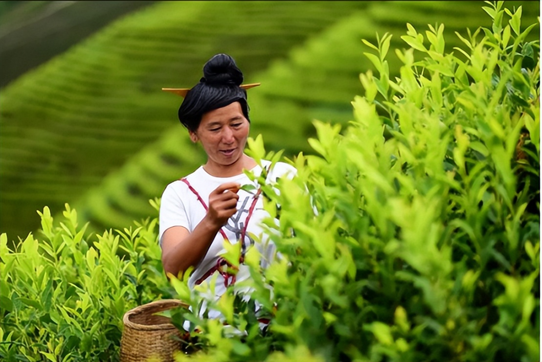 丹寨梯田观景台,丹寨哪里值得打卡