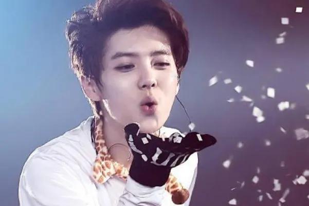 鹿晗演唱会勋章唱哭了,鹿晗演唱会结束后粉丝出场大哭