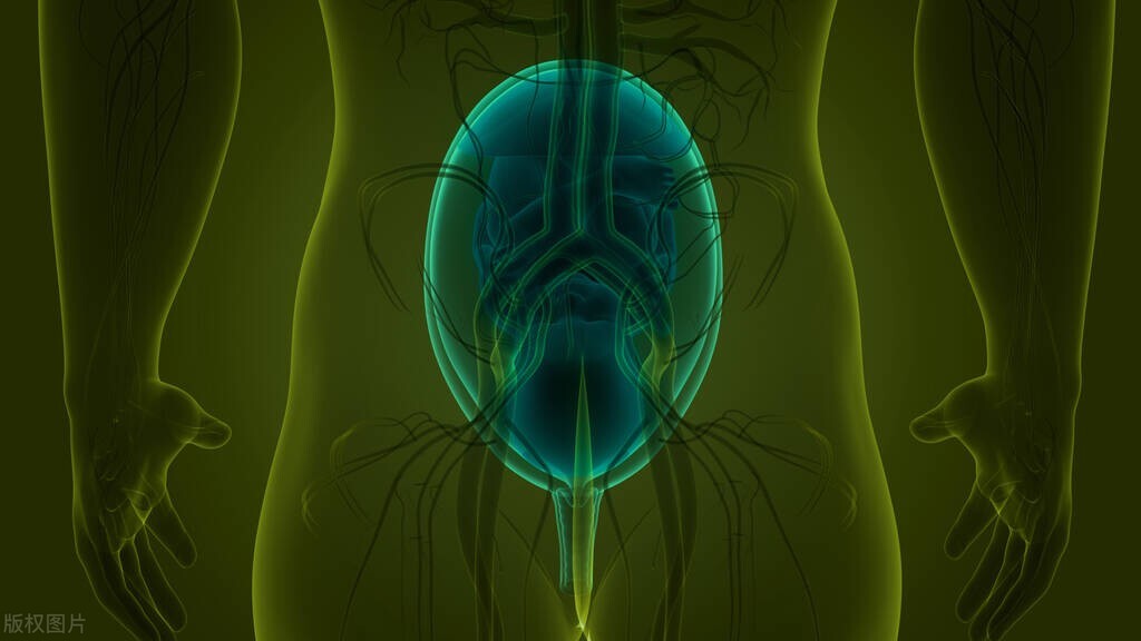 肿瘤一样的“医疗垃圾”，却被很多人当成养生补品，端上餐桌