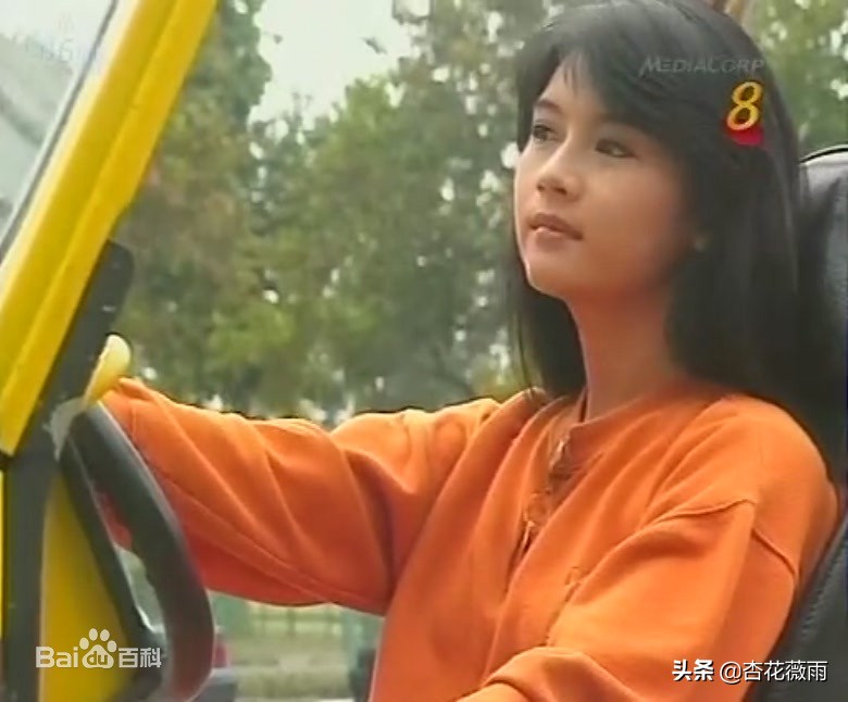 新加坡十大经典电视剧出人头地,经典的新加坡老电视剧