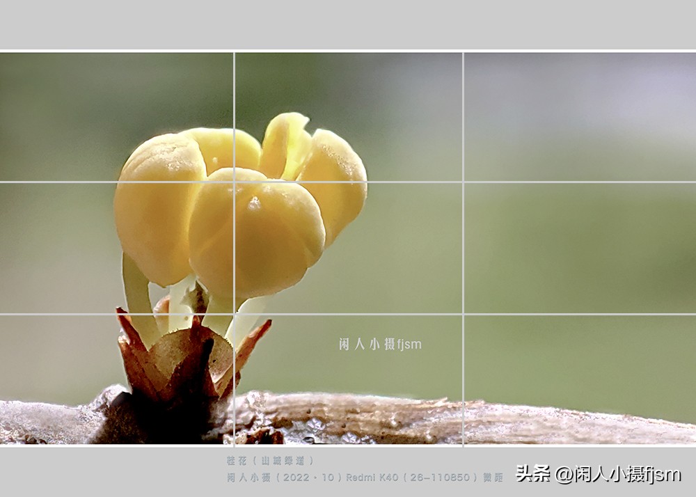 手机摄影构图技巧全解,玩转手机摄影一学就会的构图技巧