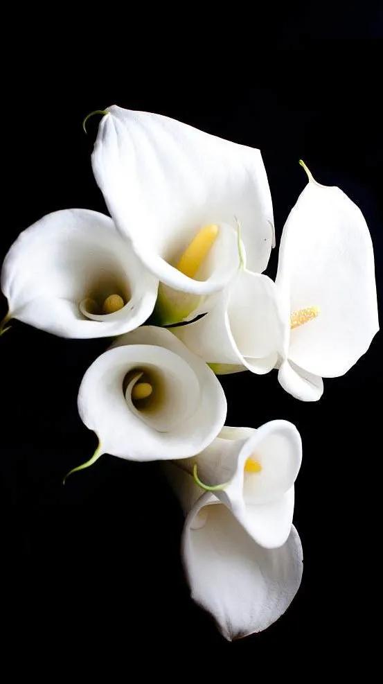 黑暗系壁纸黑底文字,黑暗色系的壁纸