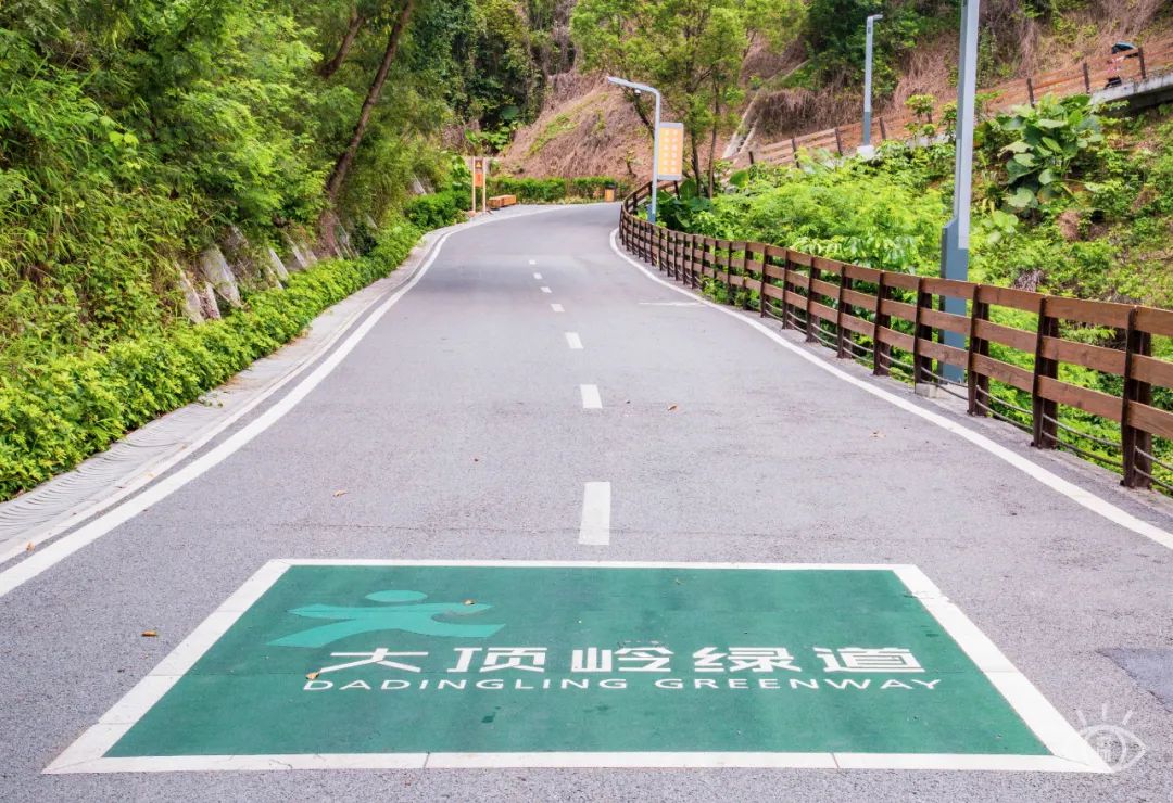 深圳10公里跑步路线,深圳跑步路线推荐塑胶跑道