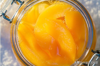 山东小孩感冒发烧吃黄桃罐头,感冒发烧吃黄桃罐头什么原理