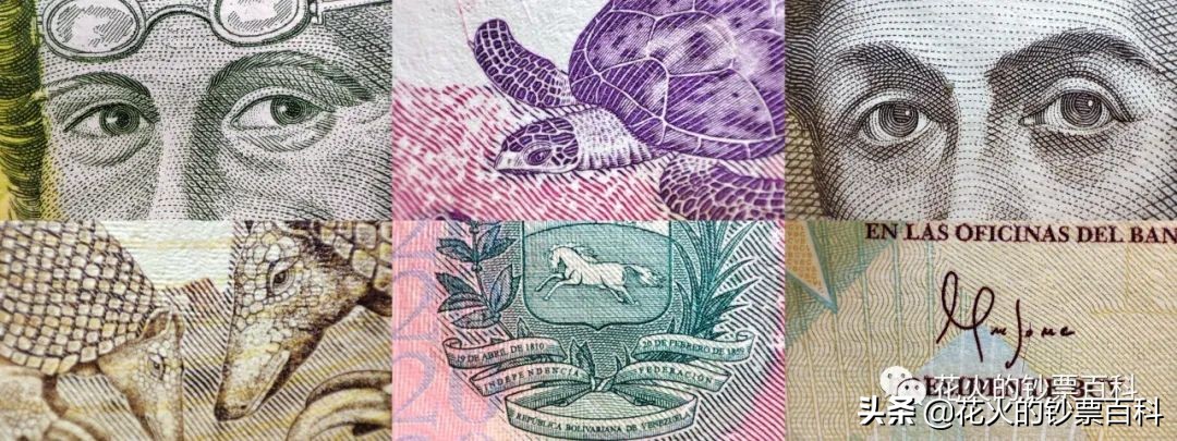 委内瑞拉二元纸币,委内瑞拉50000元纸币解析
