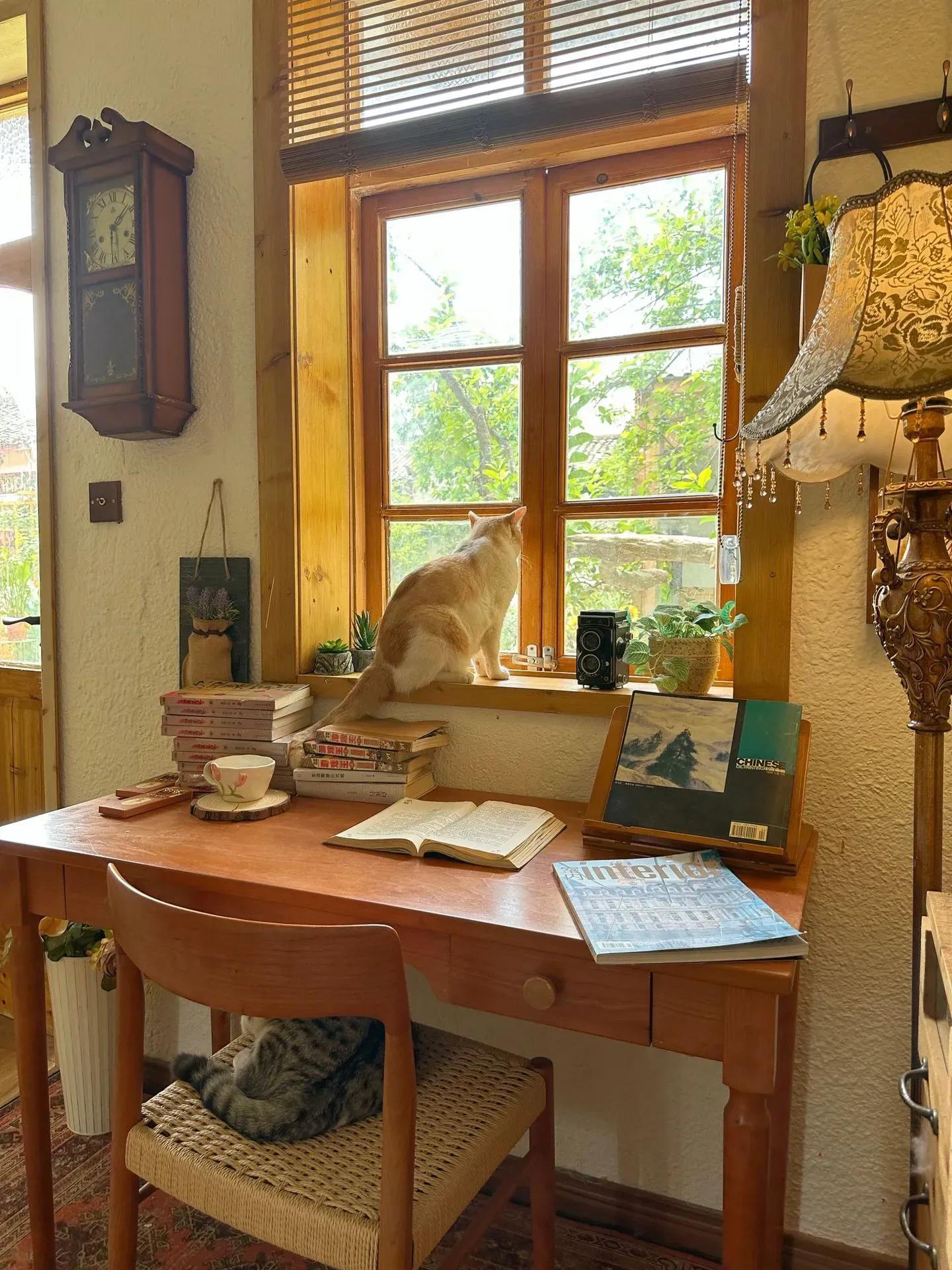 分享好看的房间,看得见风景的房间电影完整版