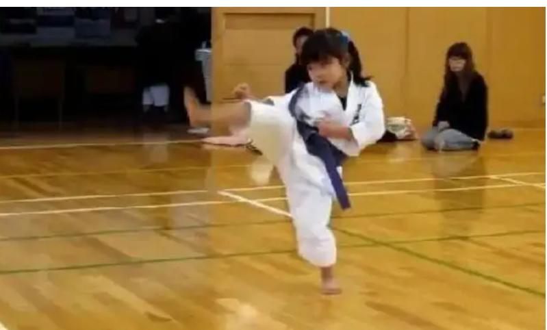 日本安倍晋三身边女保镖,安倍晋三女保镖最新消息