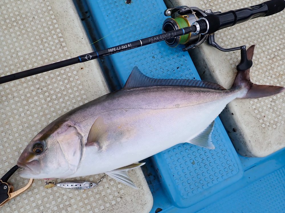海钓鱼竿怎么抛得更远,海钓和路亚鱼竿的区别