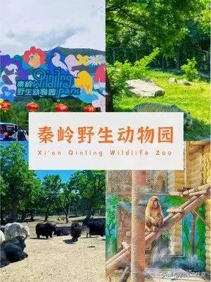 西安出发去四川攻略,西安到华山旅游攻略自助游