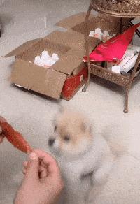 妹子穿皮裤,女生的皮裤