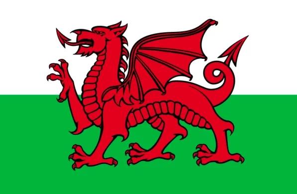 旗开得胜2021冠军表演赛,旗开得胜创佳绩