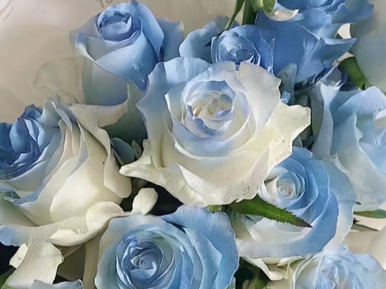 双子座的优点和缺点图片,双子座所有的优点