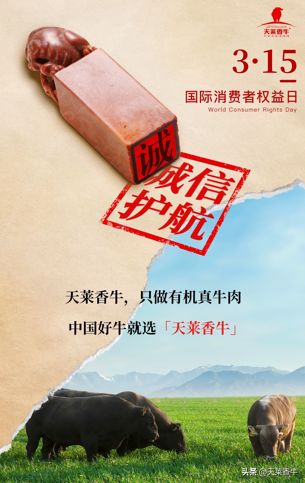 鏈夋満钄彍璇氫俊绗竴,鏈夋満澶╄彍棣欑墰绀肩洅