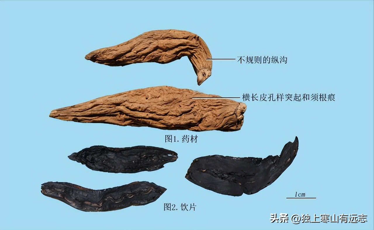 人参的种类和功效大全,人参第一名