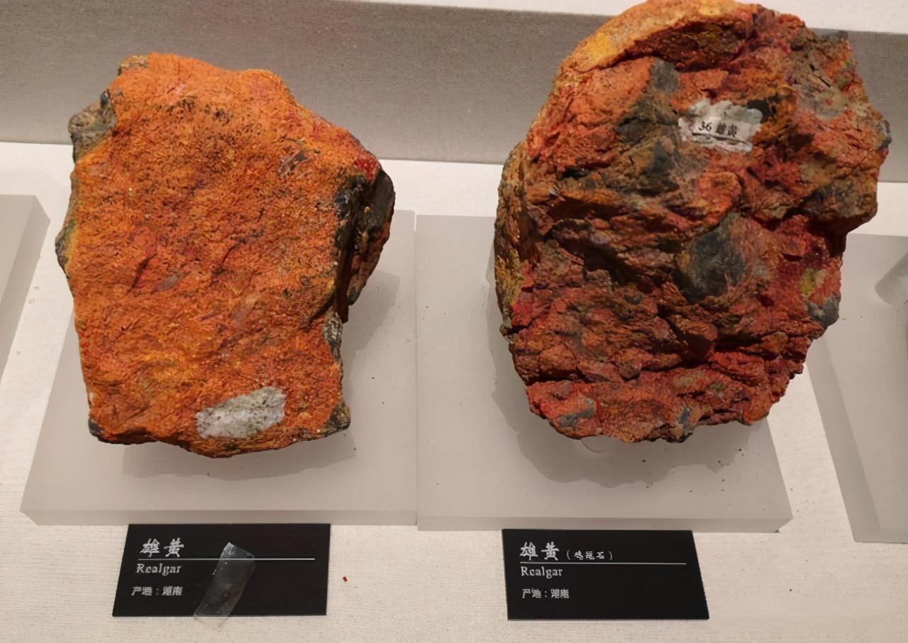 一男子发现蛇窝,挖蛇窝发现30条蛇