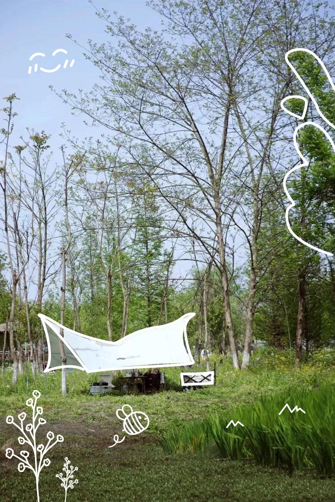 成都周边一日游露营烧烤好去处,成都周边春天适合野炊露营的地方