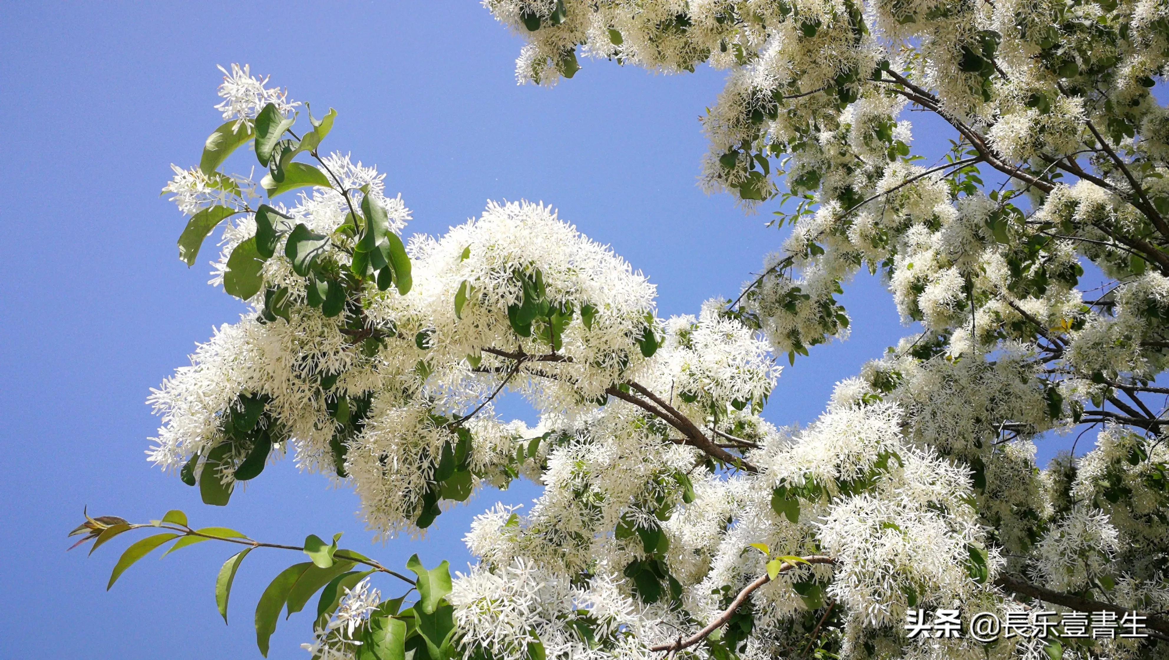 中国园林博物馆游览时间表,小众游玩强烈推荐北京园林博物馆