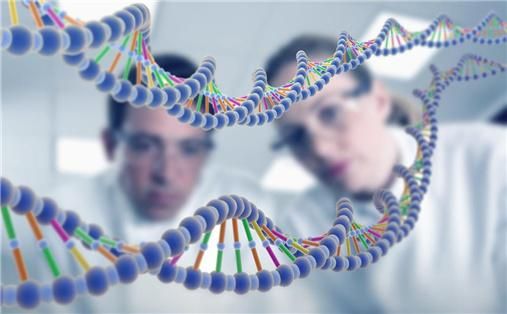 腺癌的症状和前兆,转移性腺癌属于什么癌症