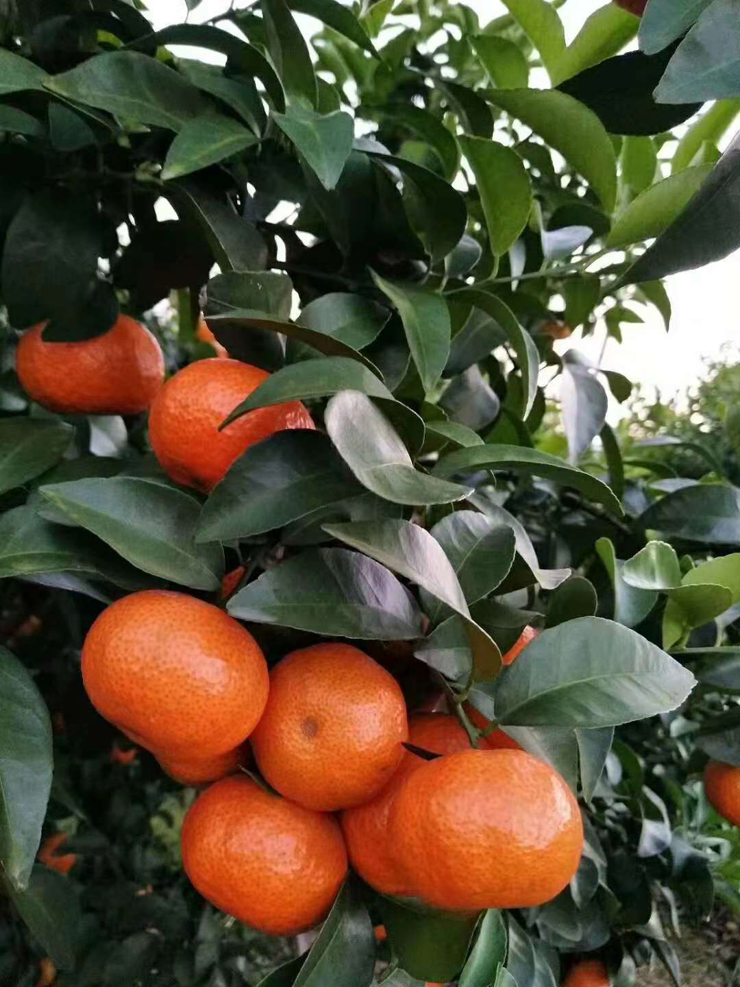 行业不景气怎么办,行业不景气如何创业