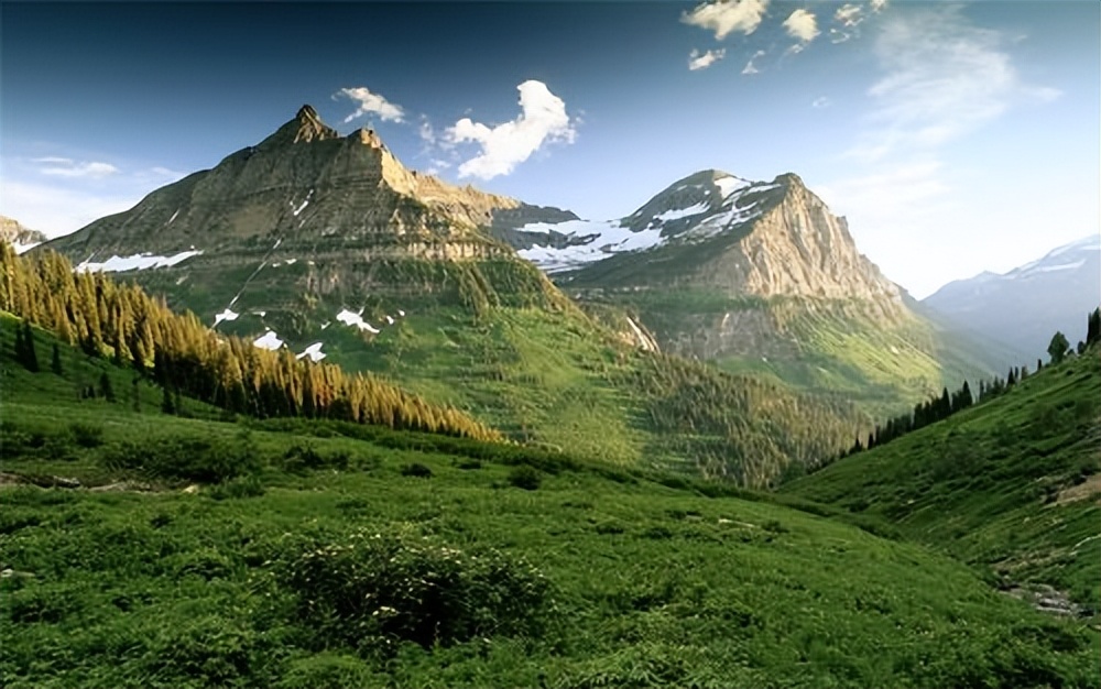 老年人就喜欢花花草草,老年花花草草