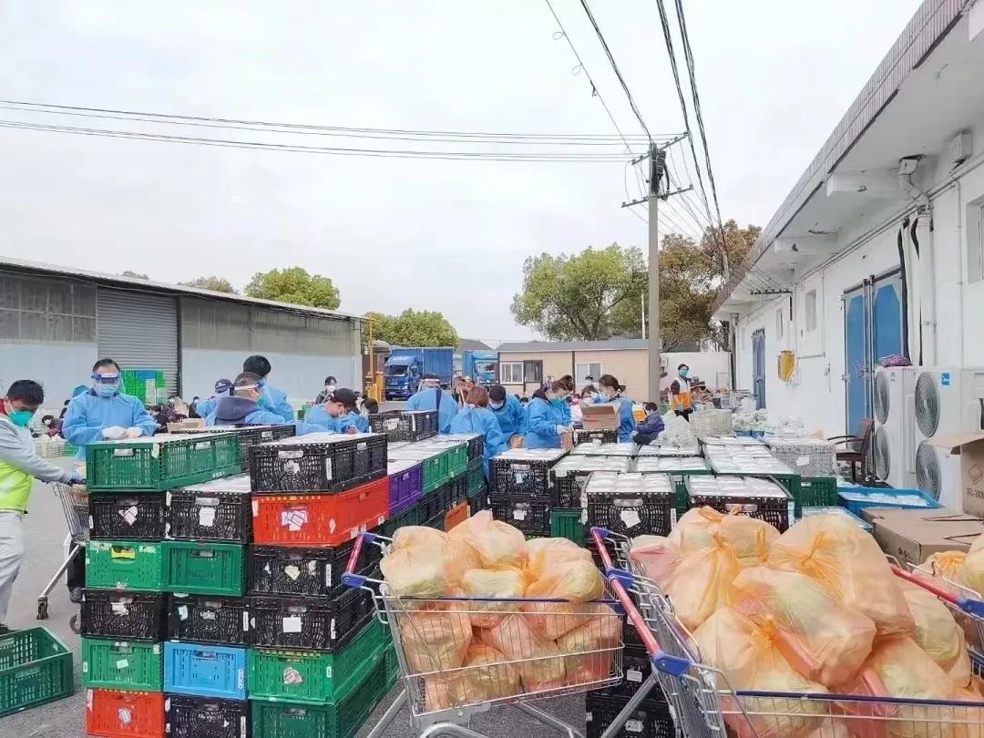 上海疫情为何严峻,上海疫情负重前行