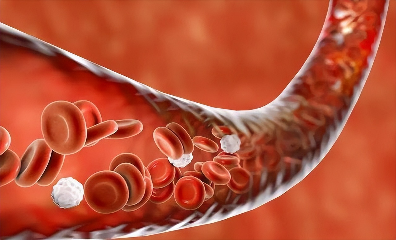 晨起空腹喝水的好处和坏处,晨起空腹喝水