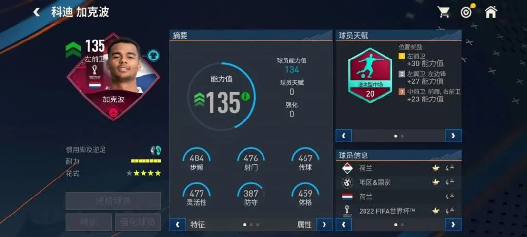 fifa足球世界所有传奇球员,fifa足球世界世界杯传奇球员阵容