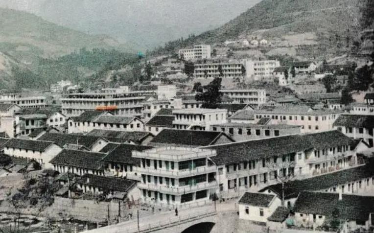 女飞贼被抓,女飞贼宋莲萍拜高僧为师轻功了得