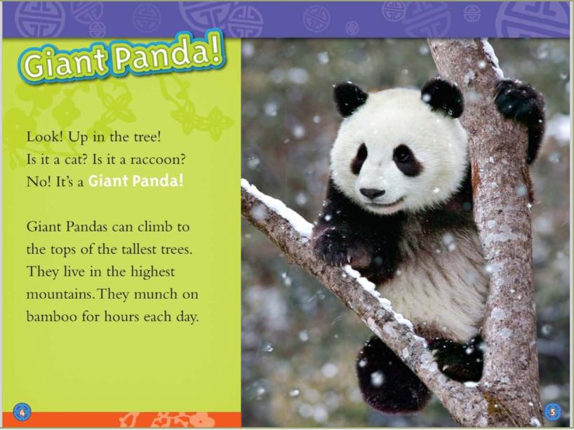 暑假带孩子怎么玩好,暑假带娃怎么玩