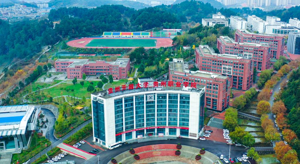 小学新型体育运动项目,学校体育特色项目开展案例